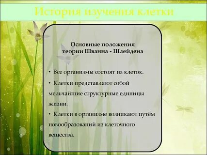 Методы открытия клетки