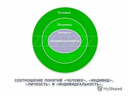 Соотнеси понятия и определения индивид