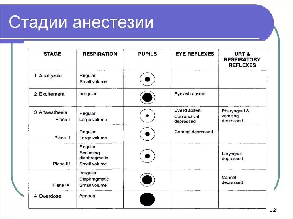 Хирургическая стадия наркоза. Стадии эфирного наркоза таблица. Фазы эфирного наркоза. Стадии наркоза по Гведелу таблица. Хирургические стадии наркоза схема.