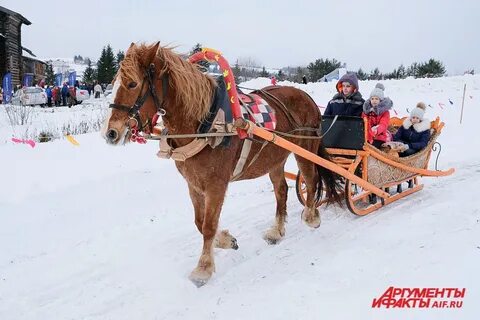 Масленица в хохловке