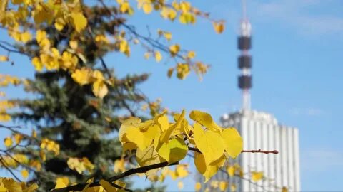 Солнечный архангельск