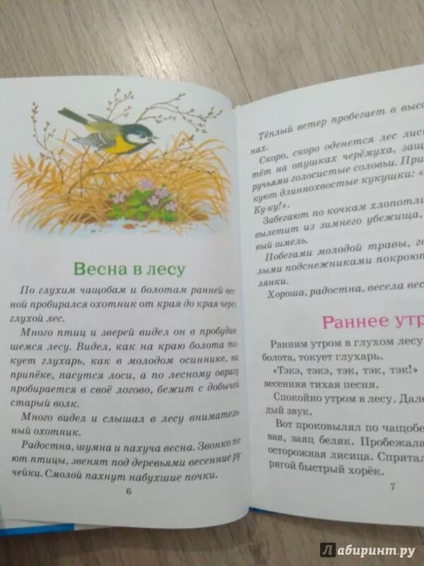 Спокойно ранним утром в глухом лесу впр. Соколов-Микитов рассказы о природе. Весной в лесу по Соколову-Микитову. Соколов Микитов от весны до весны.