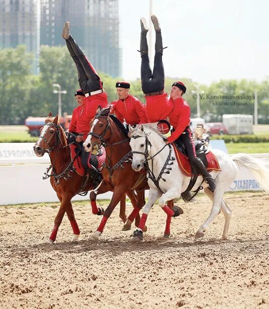 Ано дети и лошади воронеж. Чемпионат россии по джигитовке 2020 в кск звёздный. Конно спортивный центр созидатель лыткарино. Программы кск. Программы кск.