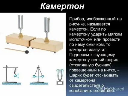 Какой частоте колебания камертона