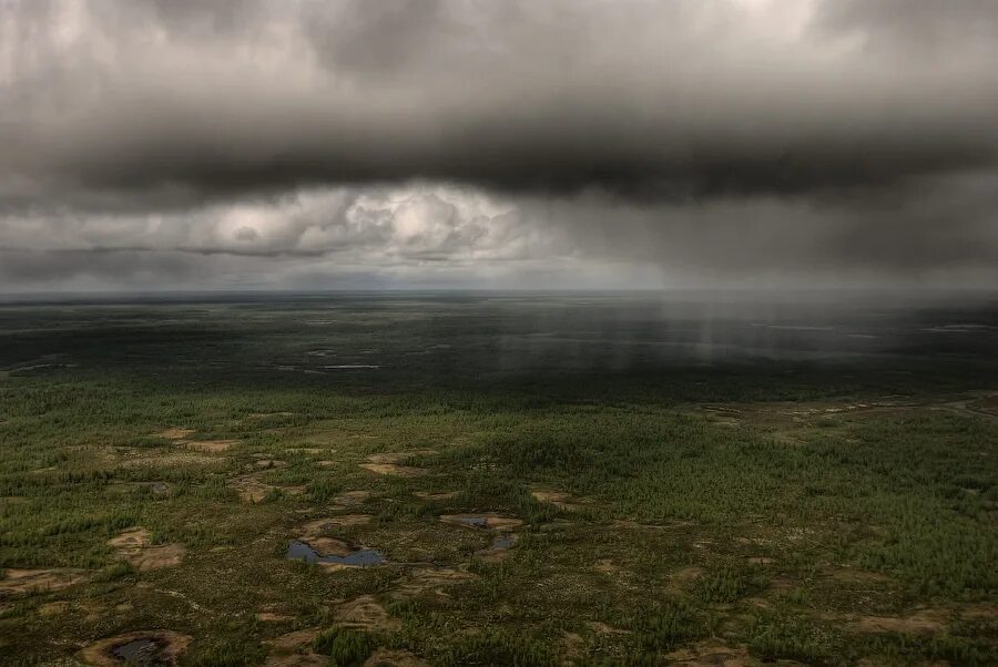 полярный день в тундре. климат тундры презентация. доклад о тундре. снежный ветер. сильные ветры тундра.