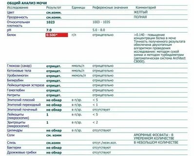 Суточный белок в моче норма при беременности - Telegraph