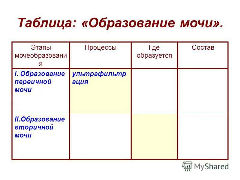 фазы образования мочи схема. заполните таблицу этапы образования первичной мочи. механизм образования первичной и вторичной мочи. таблица этапы мочеобразования процессы. заполните таблицу этапы образования первичной мочи.