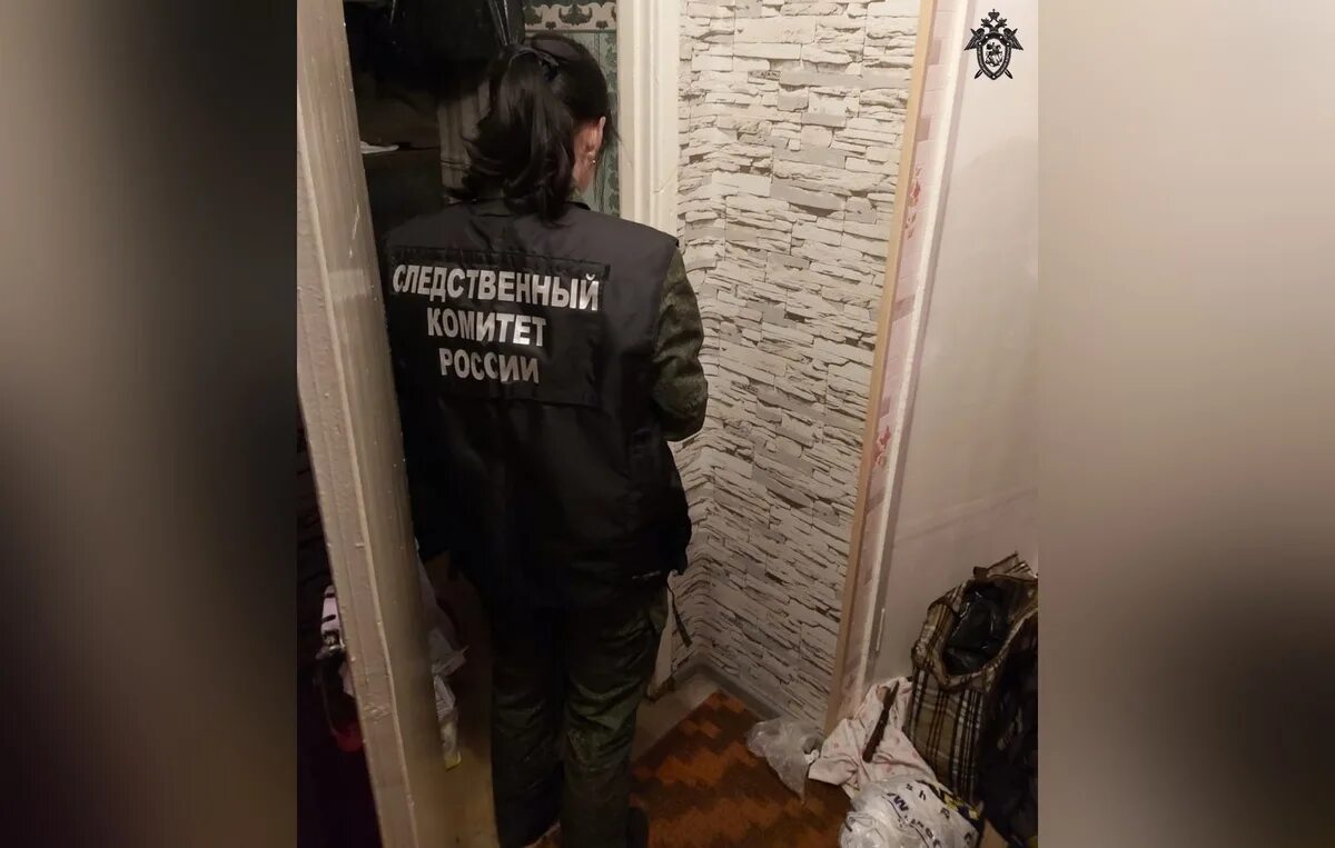 Следственно оперативная группа обыск. Где найти обыск. Полиция обыск. Обыск в квартире. Где найти обыск.