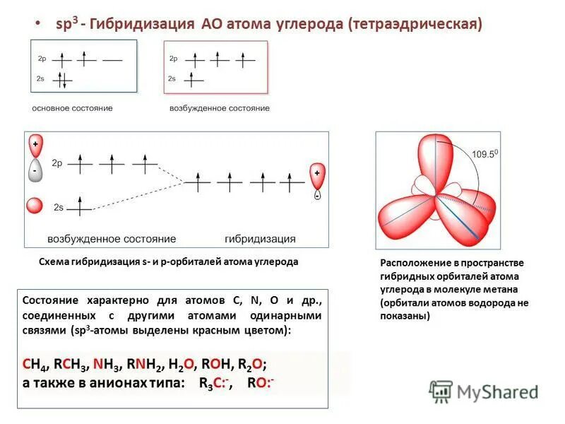 Алканы sp3. Sp3 гибридизация циклоалканов. Циклоалканы гибридизация. Гибридизация атомов водорода. SP гибридизация углерода.