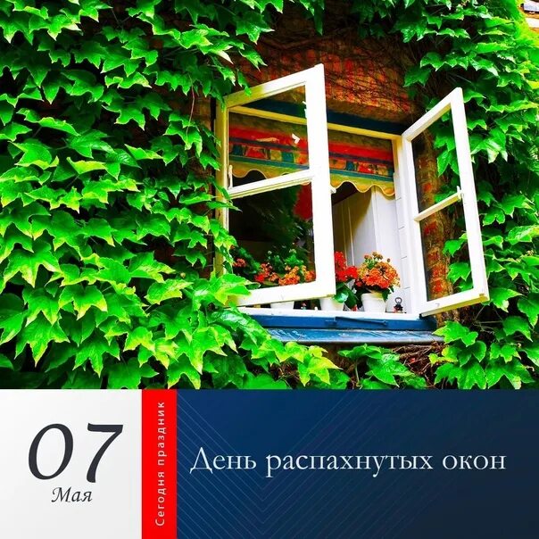 Толь в окнах. Окна melke. Лск окна для котельной. Распахнутое окно. Окна за 7 дней.