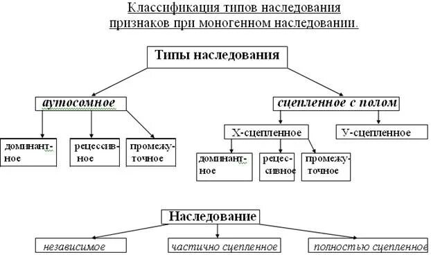 Типы наследования менделирующих признаков схема. Классификация основных типов наследования признаков. Классификация моногенного типа наследования. Заполните схему «типы наследования признаков»