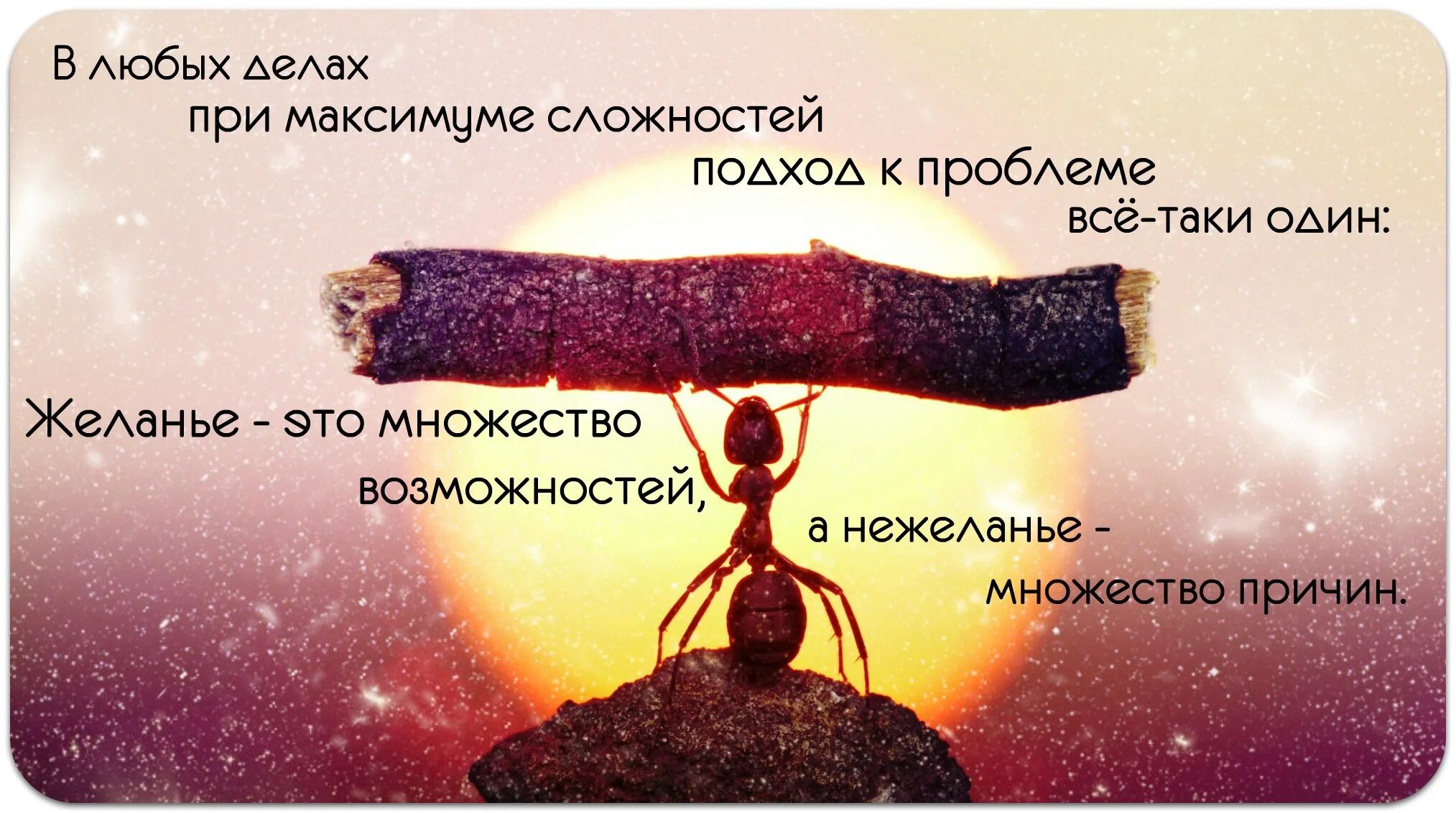 Почему все дело в том