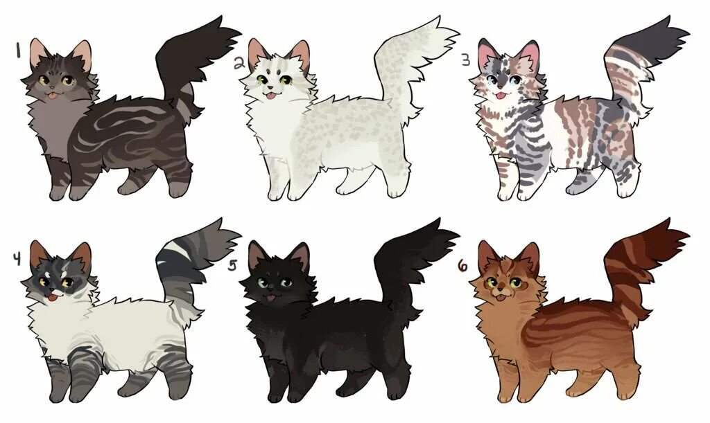 коты воители окрасы вики. коты воители окрасы котов. коты воители окрасы для ос. коты воители персы. коты воители звездоцап.