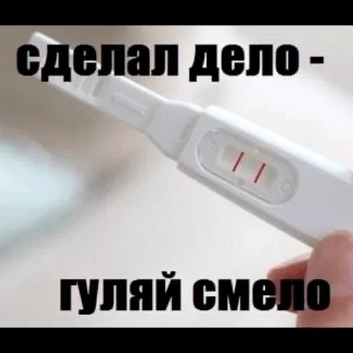 Сделал дело продолжить. Кончил в тело гуляй смело. сделал дело гуляй смело. дело сделано. сделал дело гуляй смело картинки смешные.