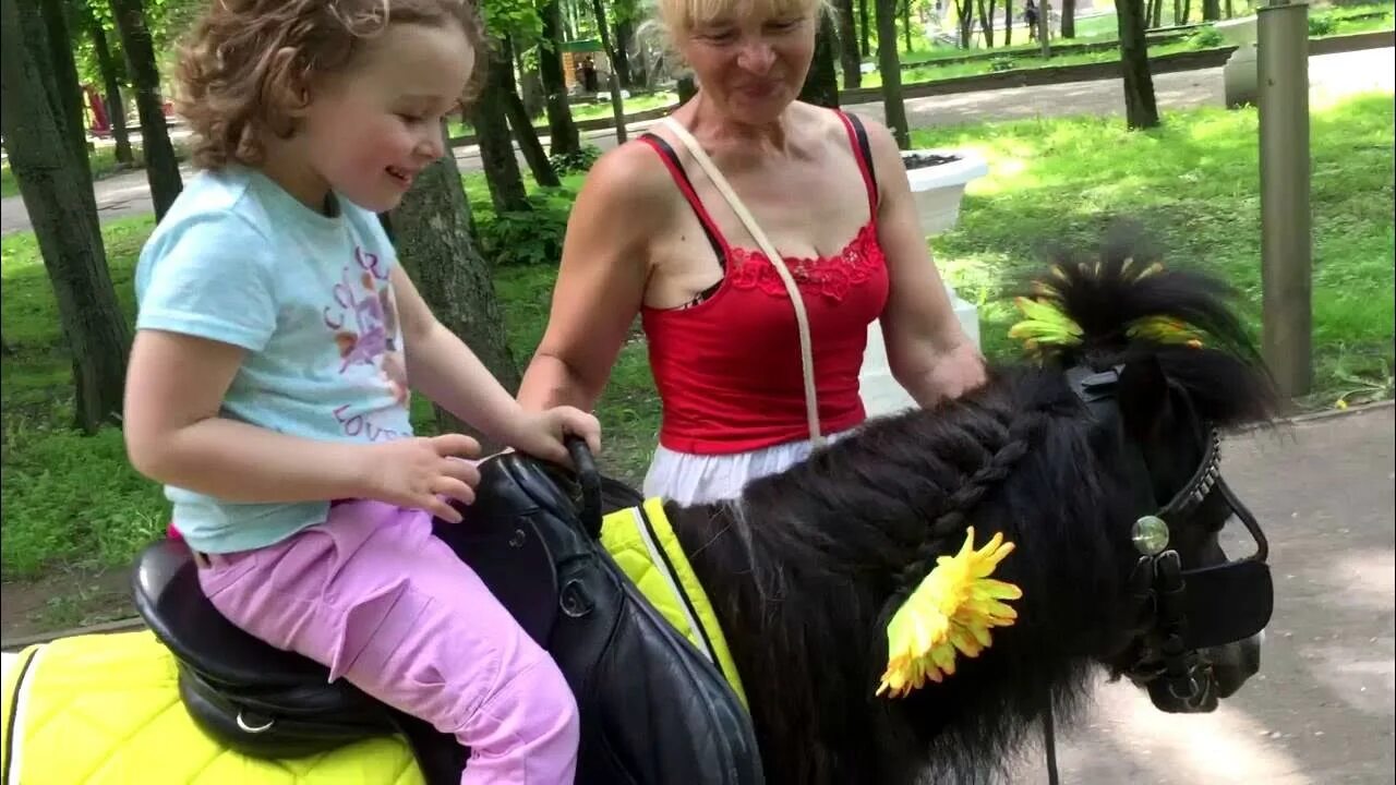 Катают детей в парке на пони. Катание на пони зимой. Дети катаются на пони в парке. Катание на пони для детей. Кататься на пони.