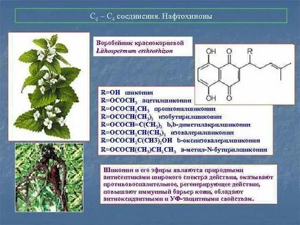 Вторичные метаболиты