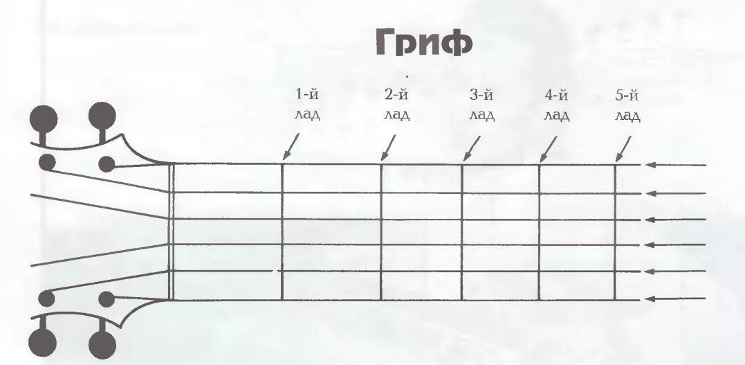 Первая струна гитары нота. Лады электрогитары нумерация. Гитарный гриф Лады. Гитара Лады струны гриф. Гриф гитары схема.