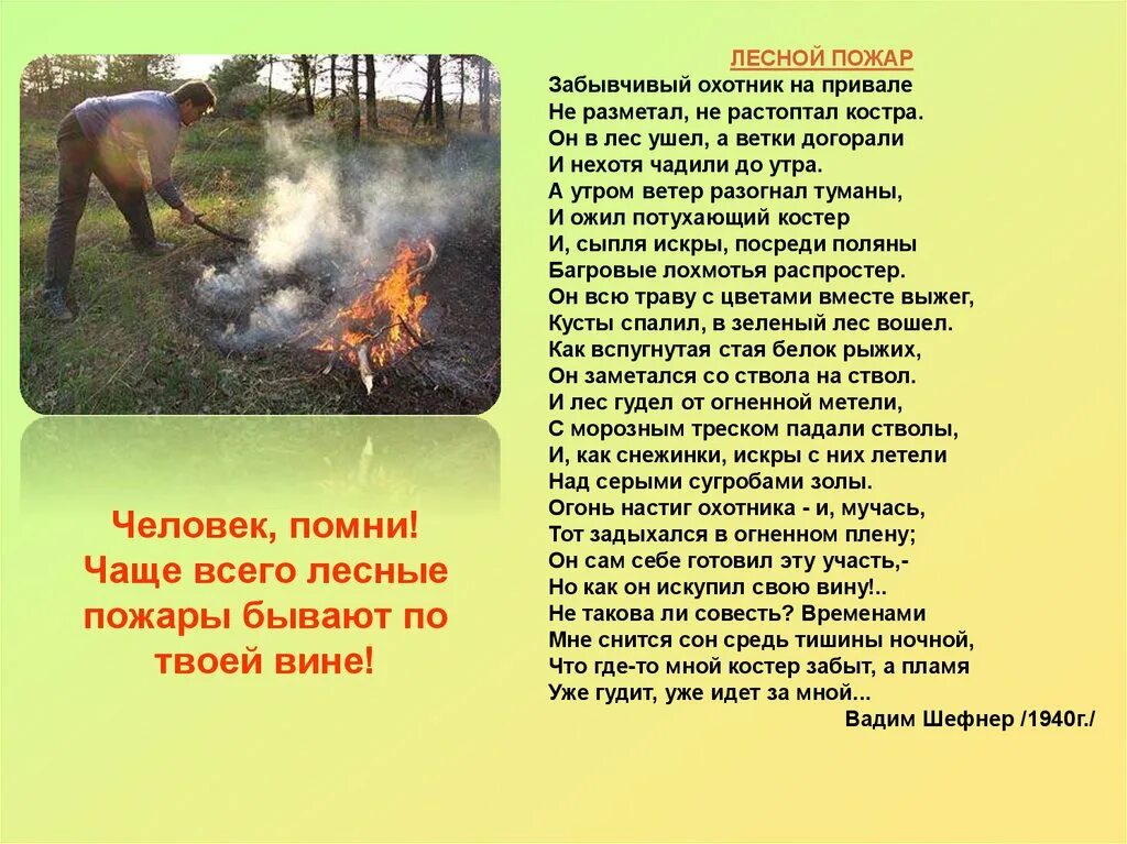 Стихи про Лесные пожары. Стихотворение Лесной пожар. Стихи про пожар в лесу. Стихи на тему пожар в лесу. Сгореть стихотворение