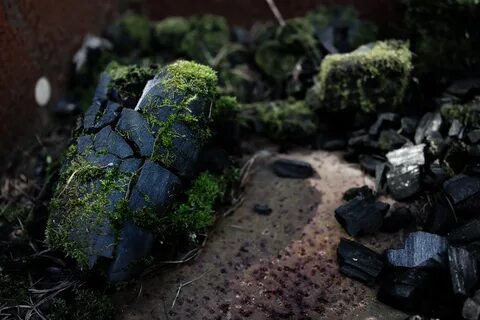 Rock planting