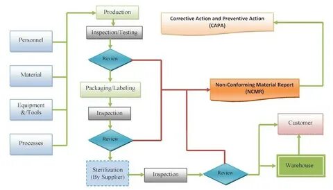 Process version