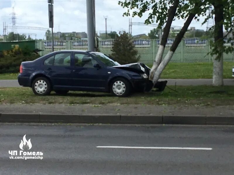 Машина въехала в дерево. Остановка автомобиля фото. Гомель сегодня сильные происшествия