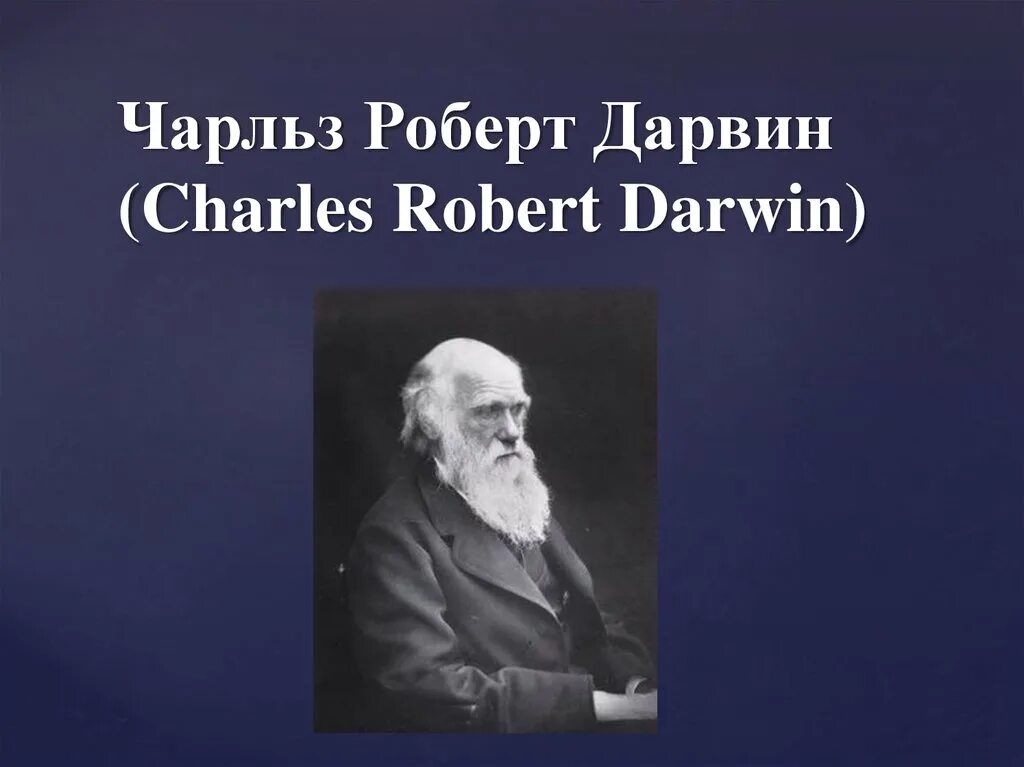 Дарвин презентация. Дарвин презентация. Дарвин презентация. Дарвин презентация. Доклад о дарвине.