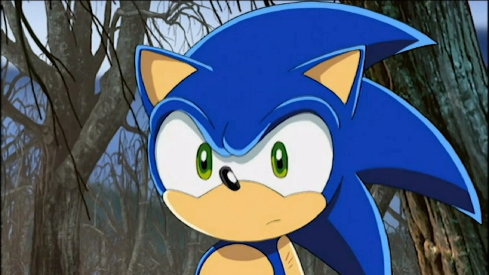 Соник японская версия. Sonic x 53.