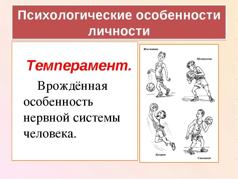 Темперамент человека это в психологии. Характеристика темпераментов человека. . Понятие о темпераменте человека. Психологические особенности личности темперамент. Индивидуально психологические различия людей