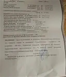 Эхо кг в новокузнецке