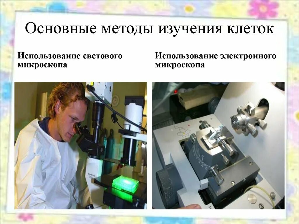 Современные методы исследования. Методы изучения клетки. Основные методы изучения клетки. Методы изучения клетки схема.