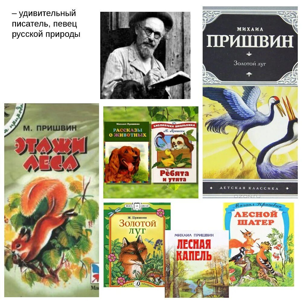 Произведения пришвина краткие. Михаила Михайловича Пришвина (1873-1954), русского писателя. 150 Лет со дня рождения русского писателя Михаила Михайловича Пришвина. 150 Лет со дня рождения Михаила Михайловича Пришвина. Произведение список произведений Михаила Михайловича Пришвина.