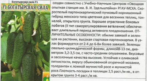 Описание 29
