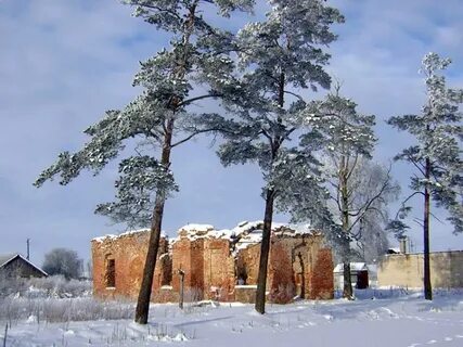 Клопицы