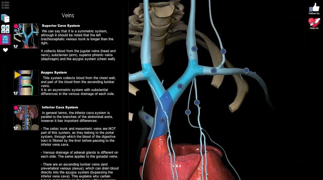 Приложения для изучения анатомии. Anatomy learning 3d анатомический. атлас по анатомии человека 3d.