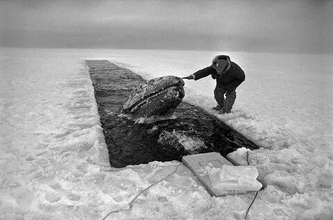 26 октября 1988