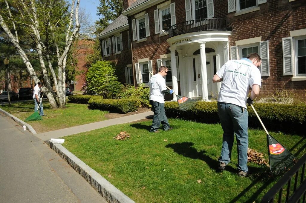 Yard cleaning