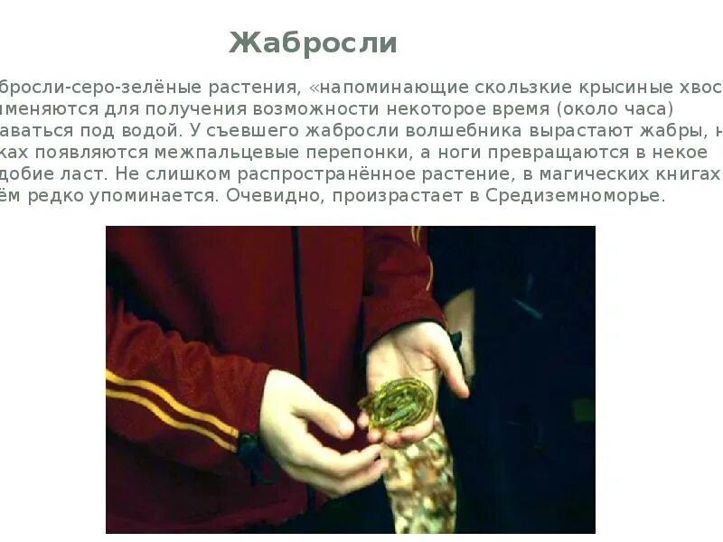 Жабросли. Жабросли. Жабросли. Добби и жабросли. Жабросли.