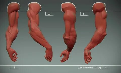 Arm version