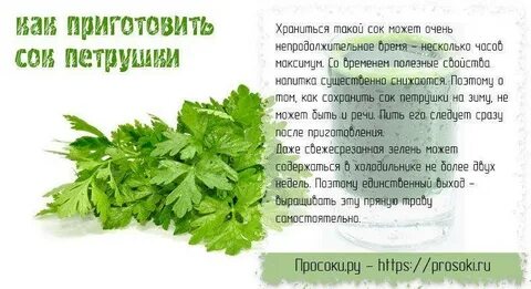 Отвар петрушки вред