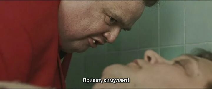 Таксидермия 2006. Таксидермия 2006. Таксидермия 2006. Taxidermia cover обложка к фильму. Гергей трочаньи.