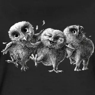 Crazy owl 50