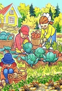 Осень труд людей овощи фрукты