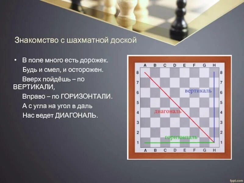 Сколько белых диагоналей на доске. Диагонали на шахматной доске. Вертикаль на шахматной доске. Знакомимся с шахматами. Горизонтали на шахматной доске.