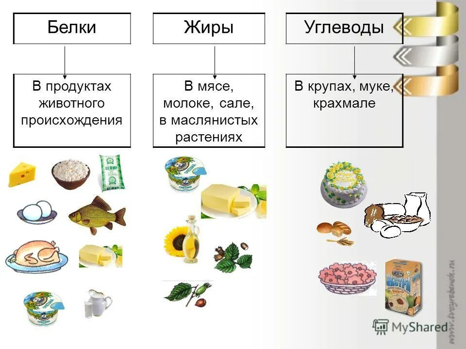 Жиры и белки в каких. Белки жиры углеводы в продуктах растительного происхождения. Что содержит белки и углеводы список продуктов. Продукты насыщенные углеводами и белками. Пища богатая белками и углеводами.