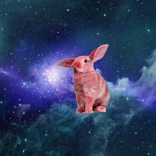 Кролик в космосе. Космический заяц. Кролик космонавт. Космический кролик арт. Ребит холе
