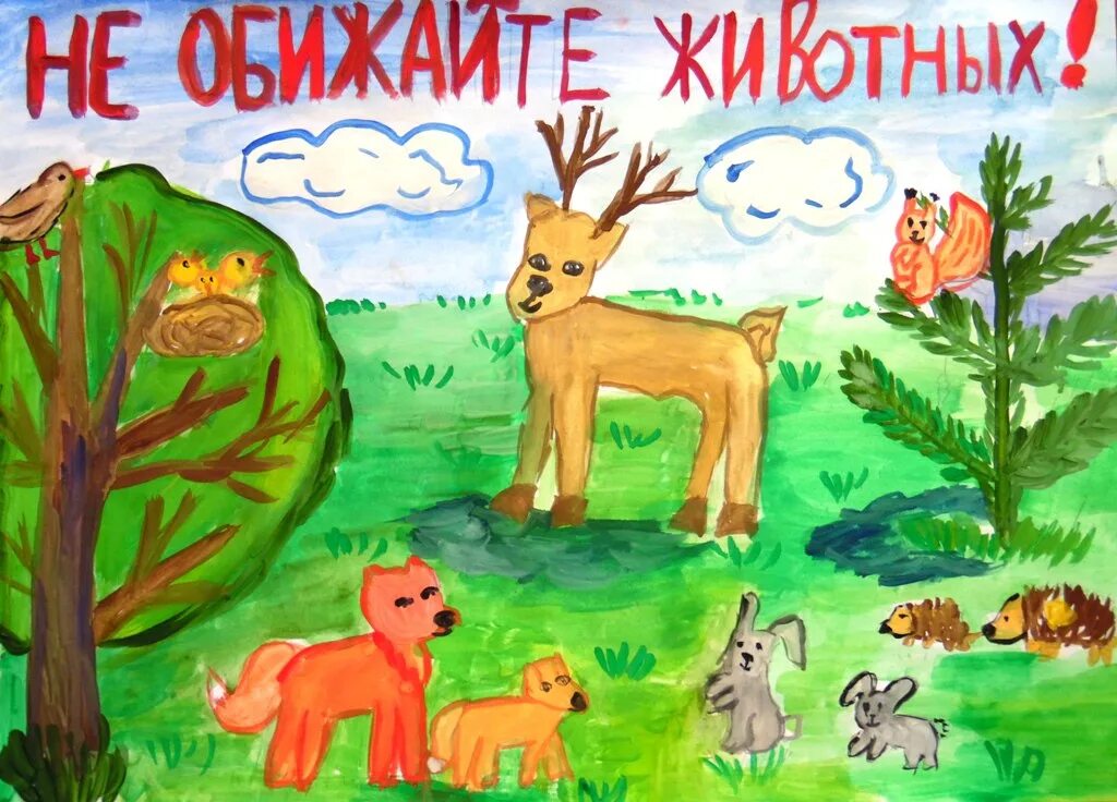 Почему так важно защищать права животных? лапка и ложка Дзен