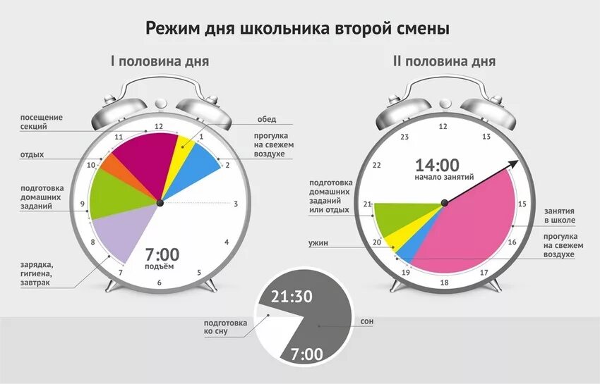 8 часов в процентах. Распорядок дня схема. График дня. Правильное распределение режима дня. Инфографика режим дня.