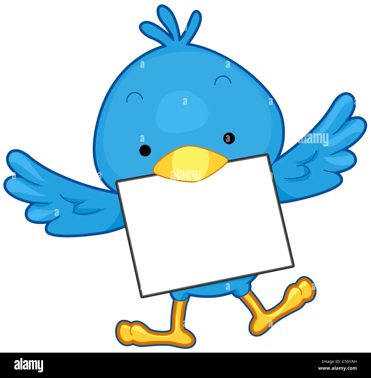 Message bird