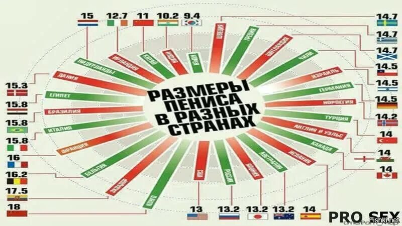 Сколько членов поместится. Средняя длина мужского достоинства. Среднестатистический размер мужского достоинства. Статистика размеров мужских достоинств. Размер члена статистика.