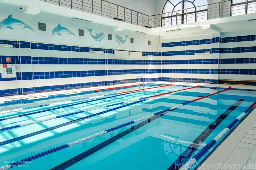 бассейн севастополь. омега бассейн севастополь. реабилитация в бассейне. бассейн цска севастополь. акуленок симферополь акваклуб.